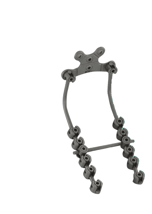 Anterior Cervical Detail