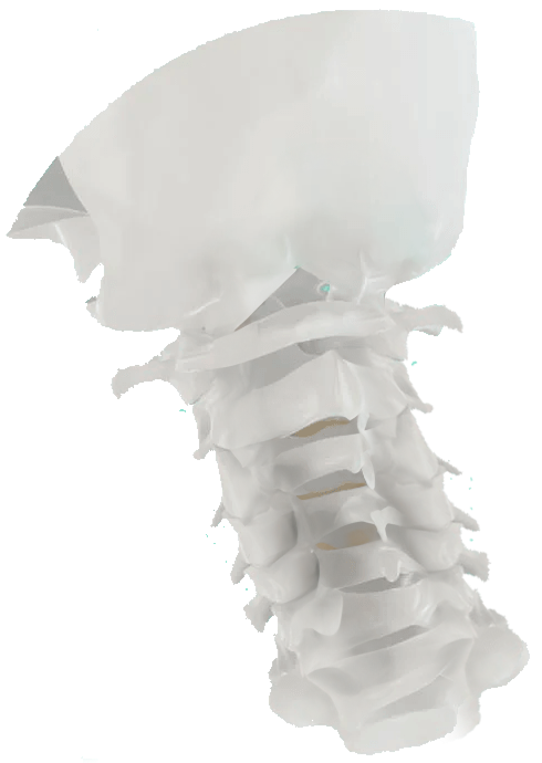 Anterior Cervical Spine