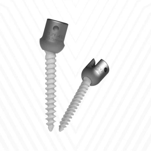 HA Coated Polyaxial Screw