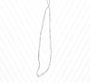 SlideRope-TAD – Adjustable loop for Tibial Attachable Disk